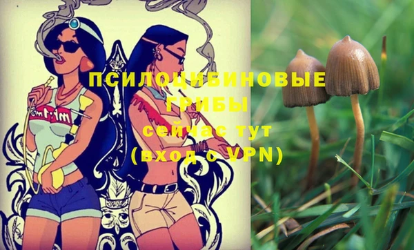 стафф Лагань