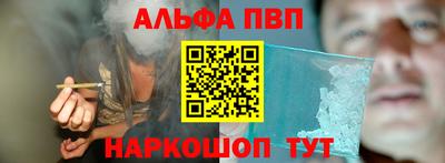 СК Кингисепп