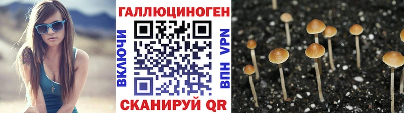 Псилоцибиновые грибы мухоморы  кракен зеркало  Нефтекамск 